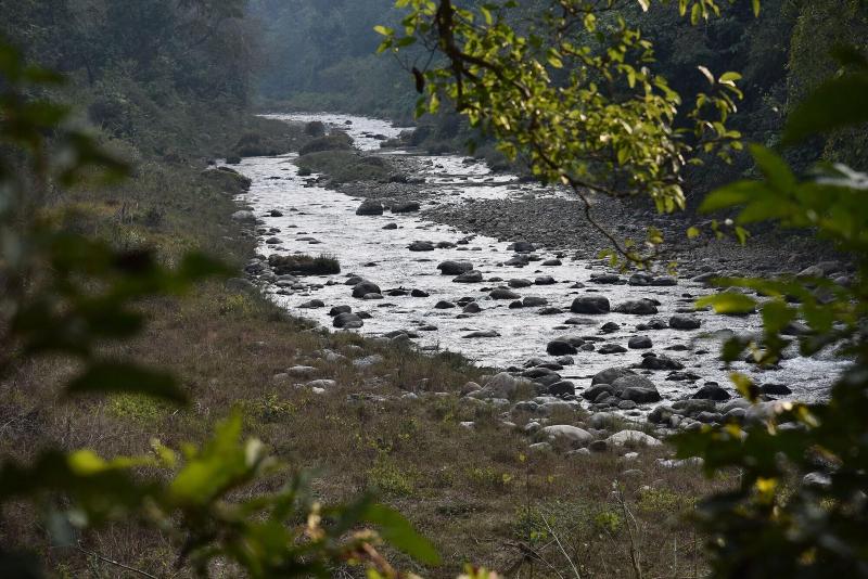 Tree of Life Vanvilas Riveredge image