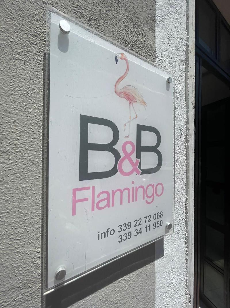 B&B Flamingo image