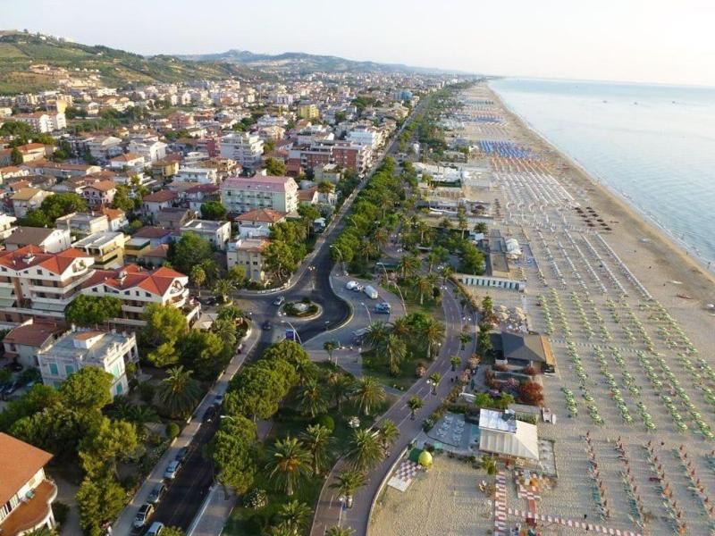 Il Gelso di Sofia image