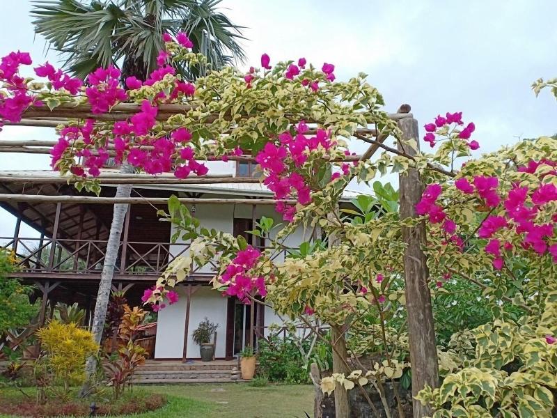 Domaine Desaubin Luxury Villas image