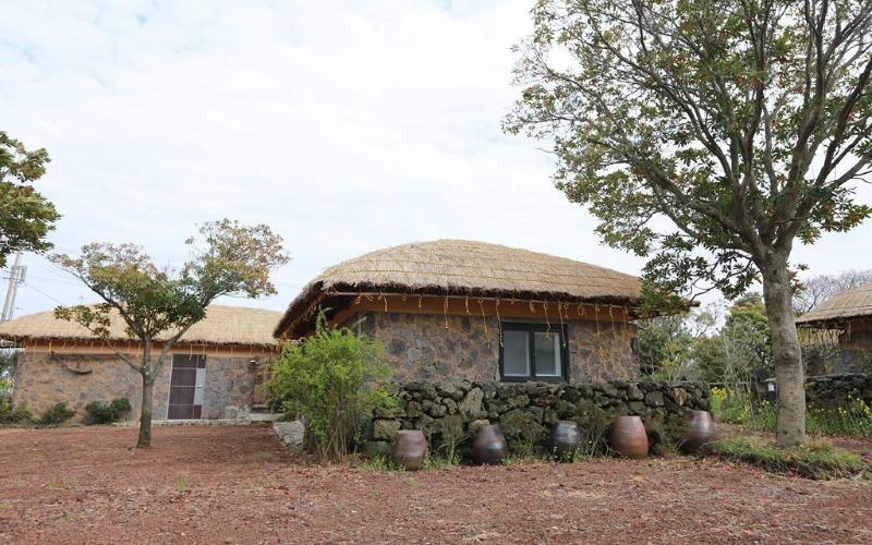 Seogwipo Chogain inn Guest House image