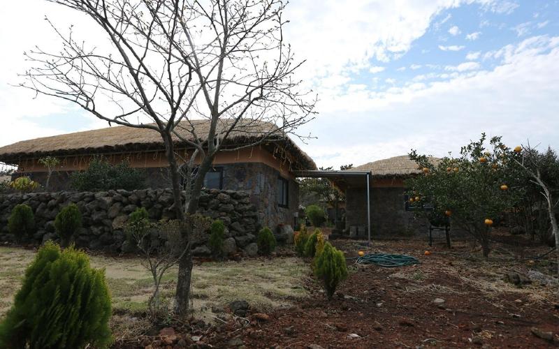 Seogwipo Chogain inn Guest House image