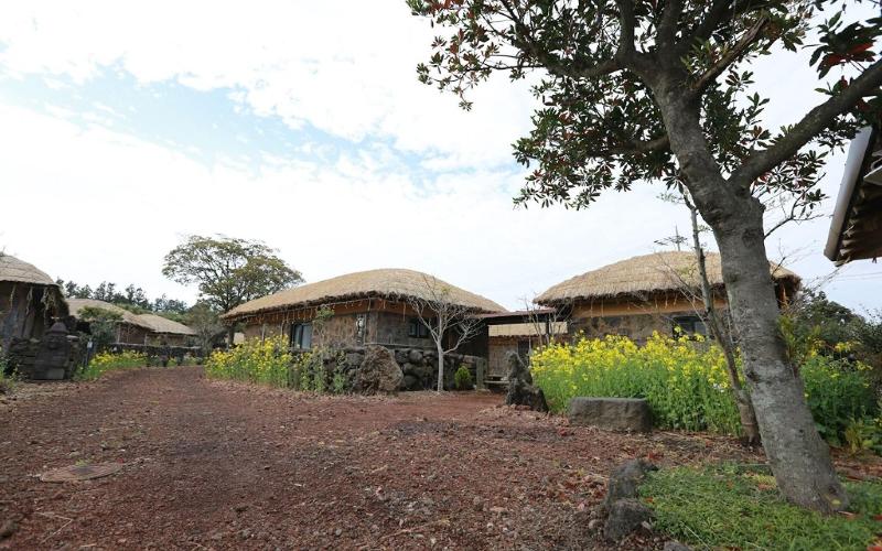Seogwipo Chogain inn Guest House image