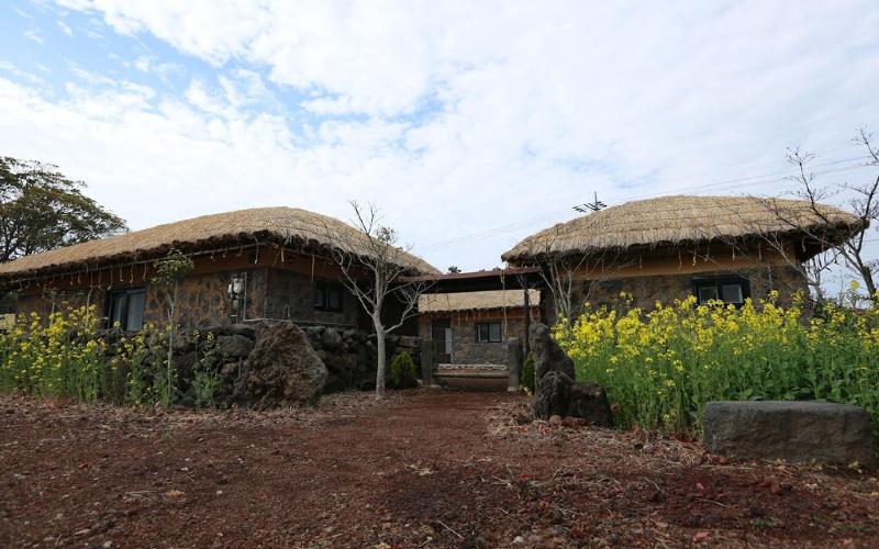 Seogwipo Chogain inn Guest House image