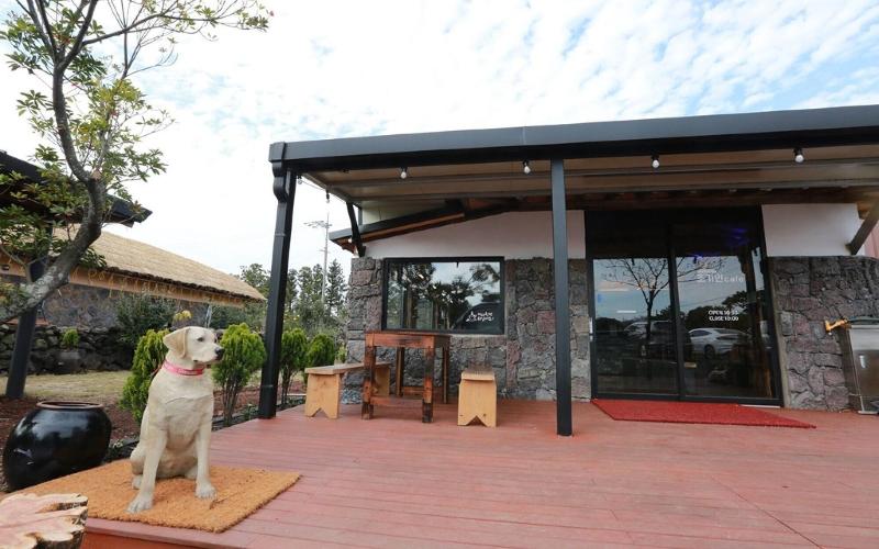 Seogwipo Chogain inn Guest House image
