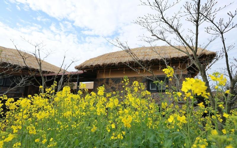 Seogwipo Chogain inn Guest House image