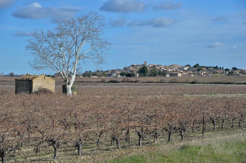 Les Amandiers image