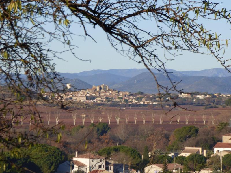 Les Amandiers image