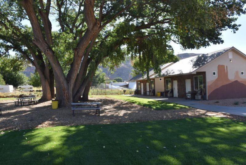Zion's Camp and Cottages image