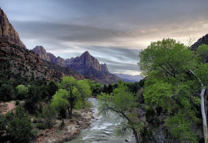 Zion's Camp and Cottages image