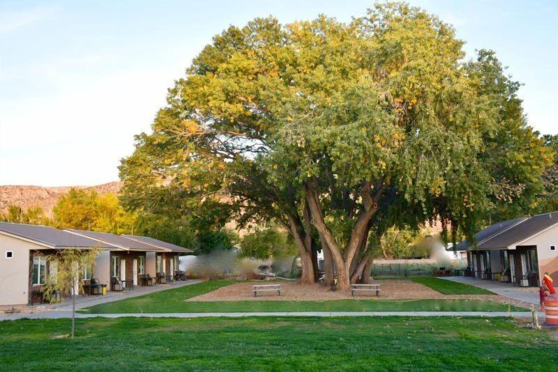 Zion's Camp and Cottages image