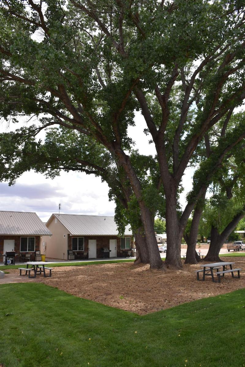 Zion's Camp and Cottages image