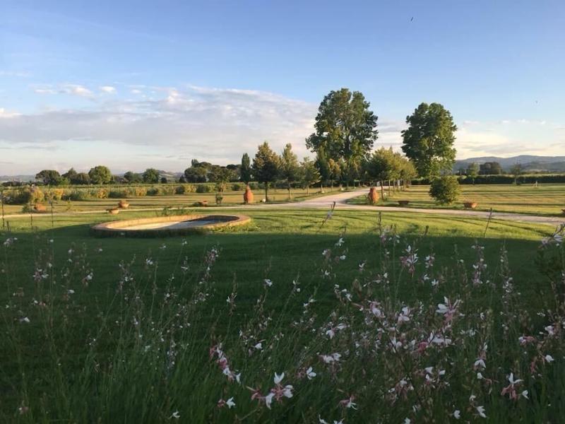 Villa Archi image