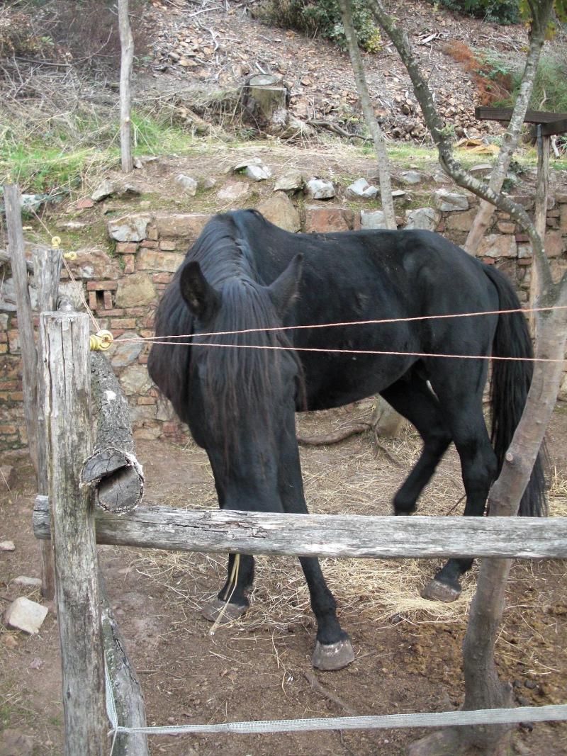 La Locanda del Minatore image