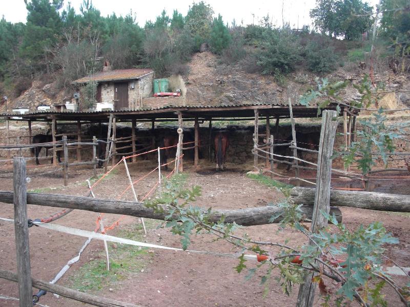 La Locanda del Minatore image