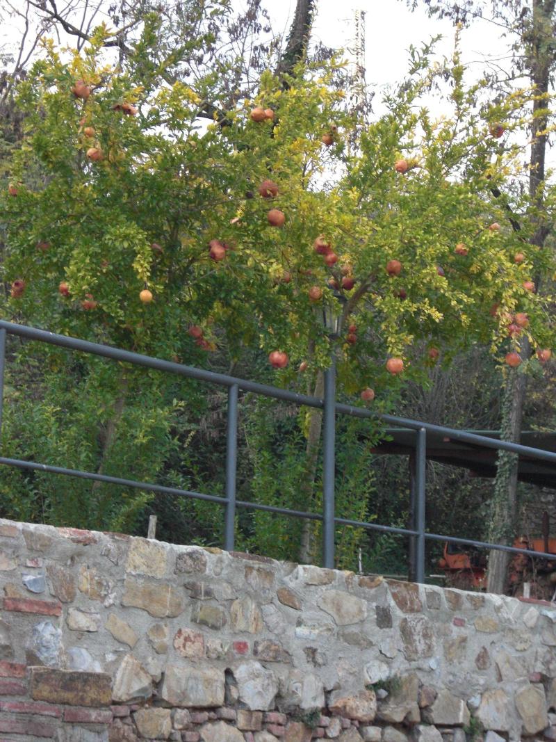 La Locanda del Minatore image