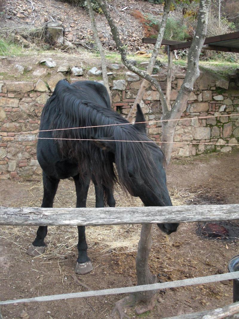 La Locanda del Minatore image