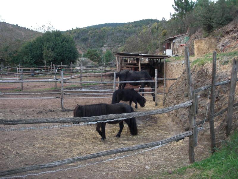 La Locanda del Minatore image