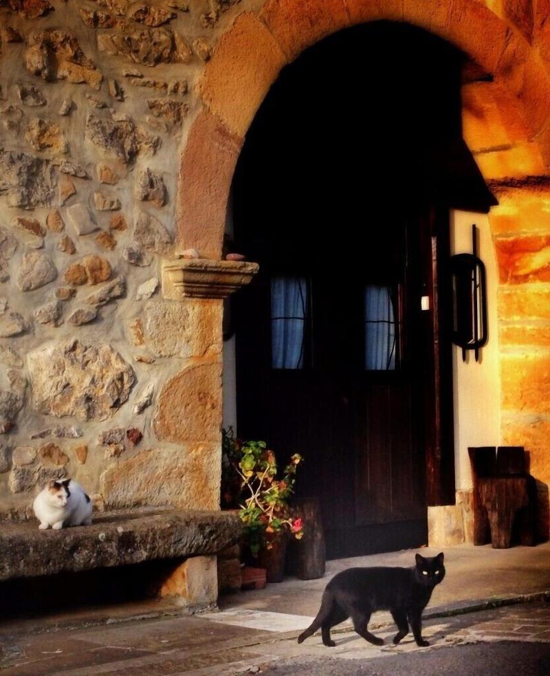 Casa Rural Areano image