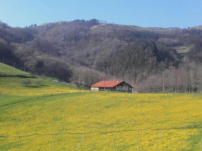 Albergue Otardi Landa Aterpetxea image