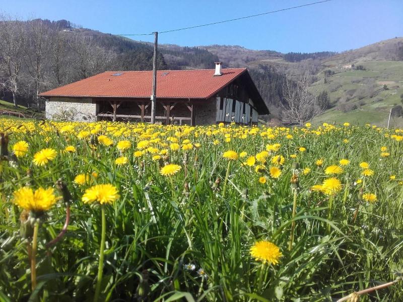 Albergue Otardi Landa Aterpetxea image