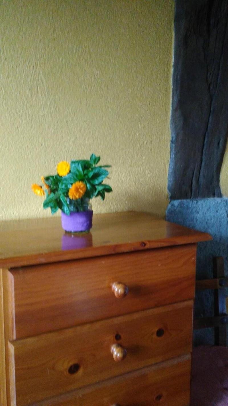 Albergue Otardi Landa Aterpetxea image