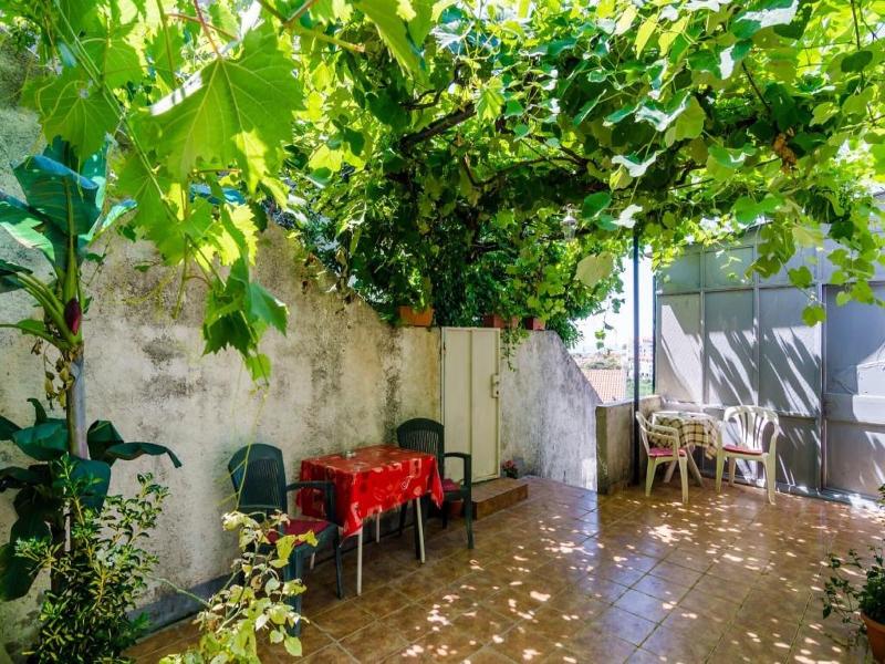 Guest House Mara image
