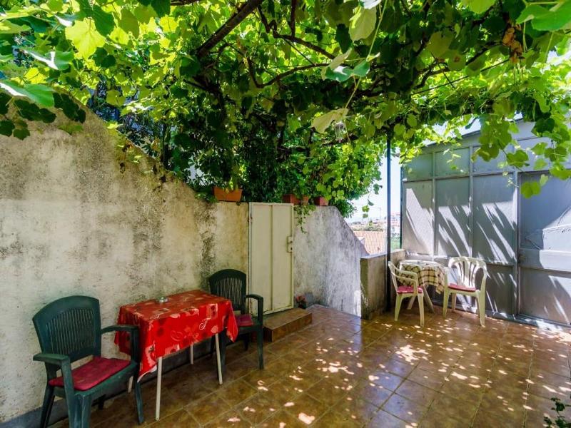 Guest House Mara image