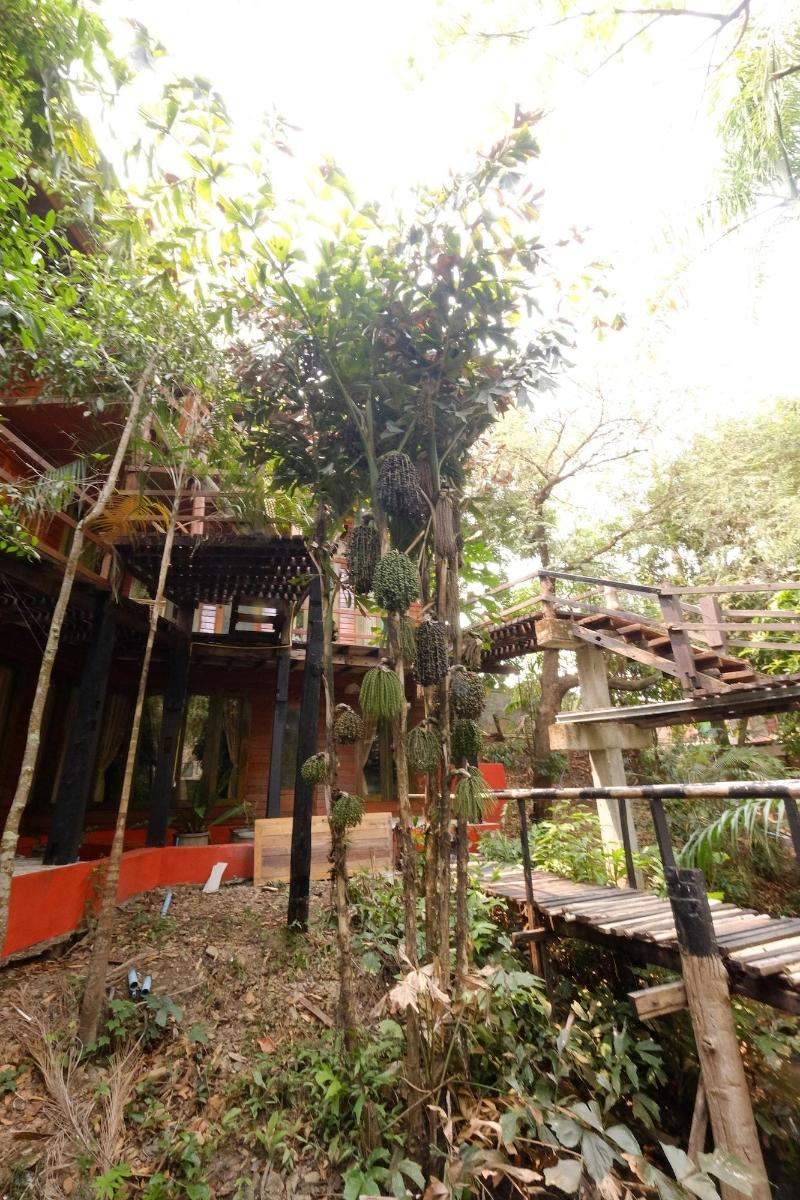 P&P Coffee & Resort Mae Sariang image