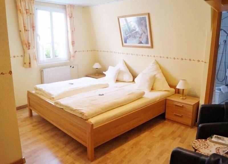 Hotel Gute Quelle image