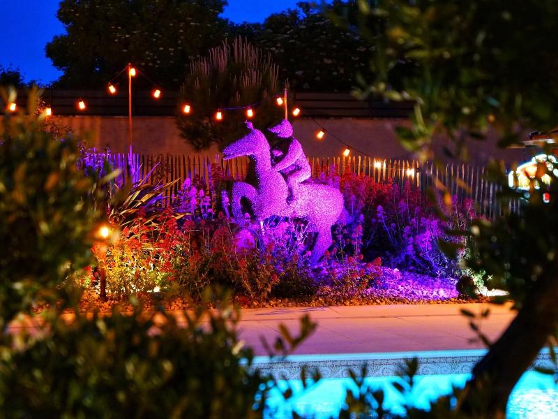 LE Petit Champigny image