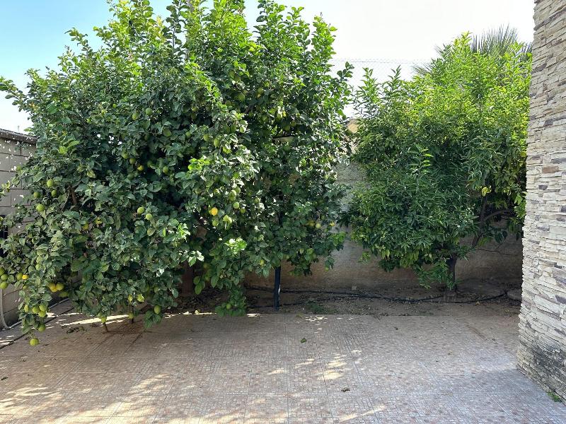 Casa Peseta. Casa Rural image