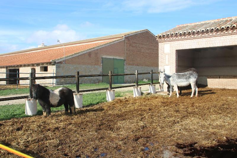 Complejo Rural Puente Romano image