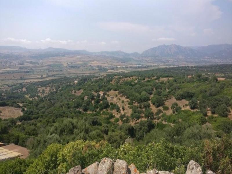 Agriturismo Putzu Canu image