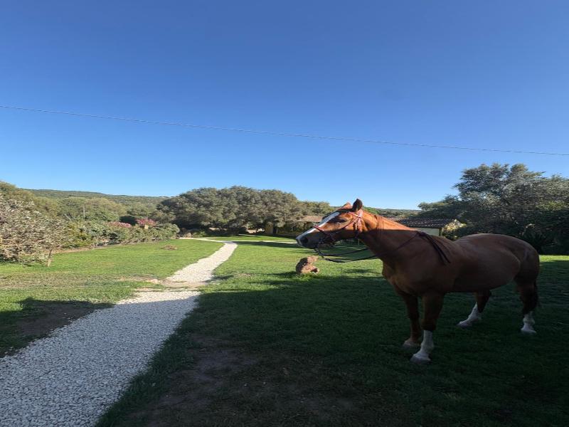 Agriturismo Putzu Canu image