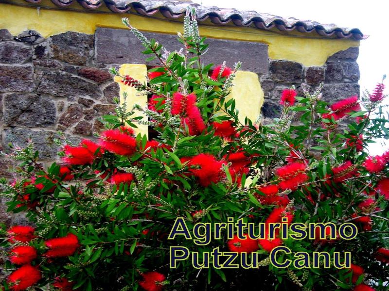 Agriturismo Putzu Canu image
