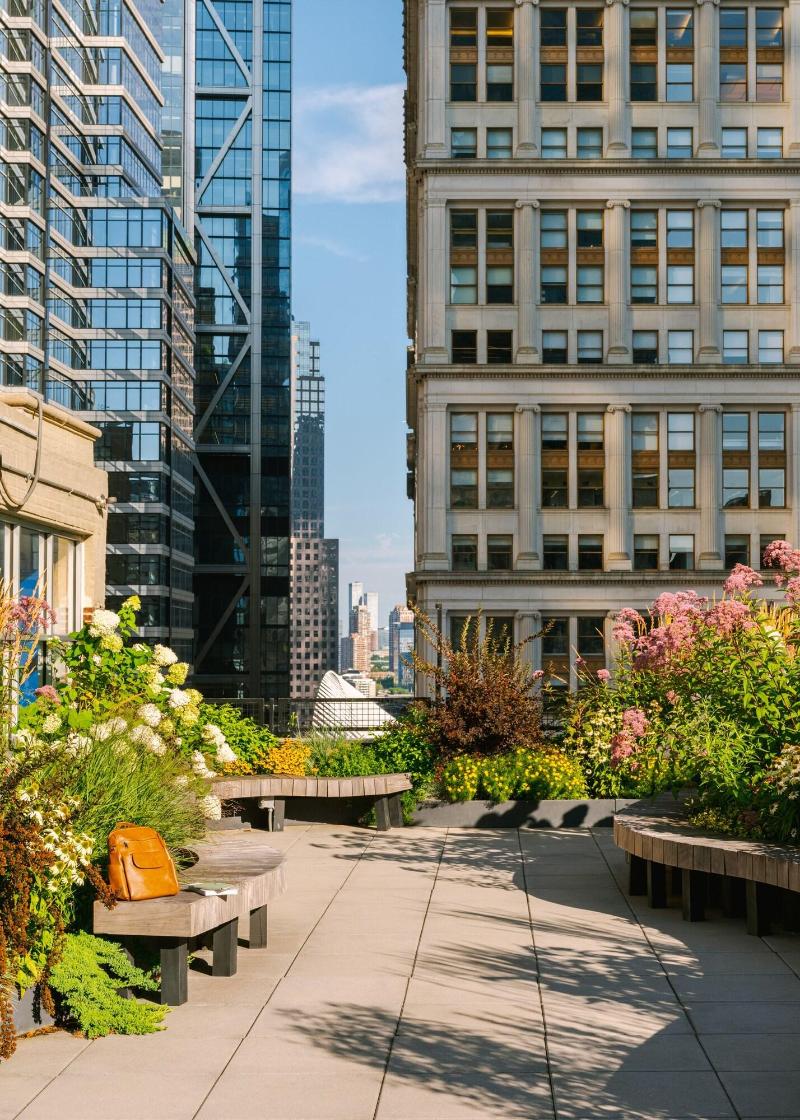 Sonder City Hall Park image