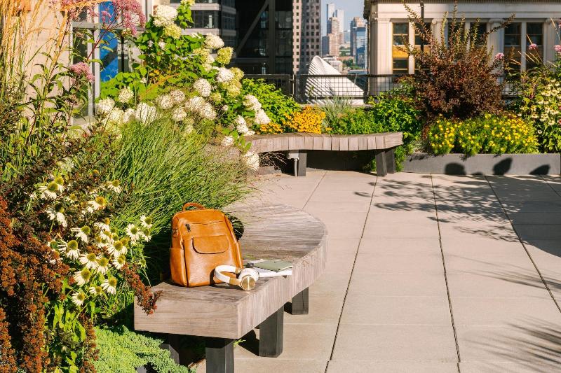 Sonder City Hall Park image