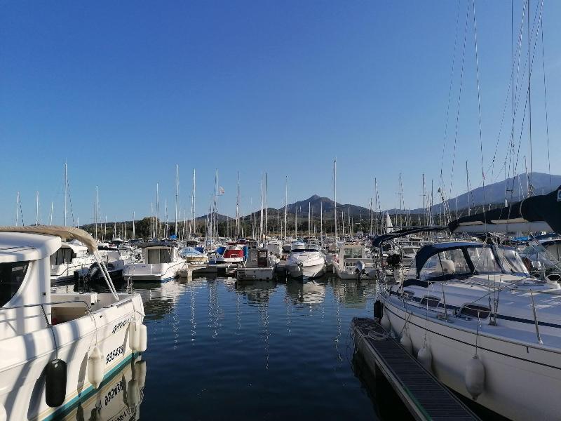 La Picholine image