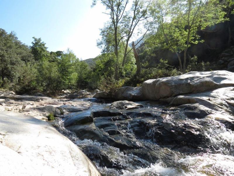 La Picholine image