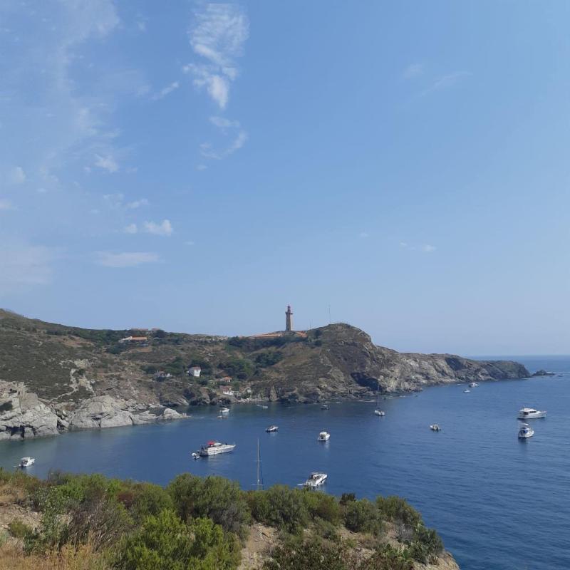 La Picholine image