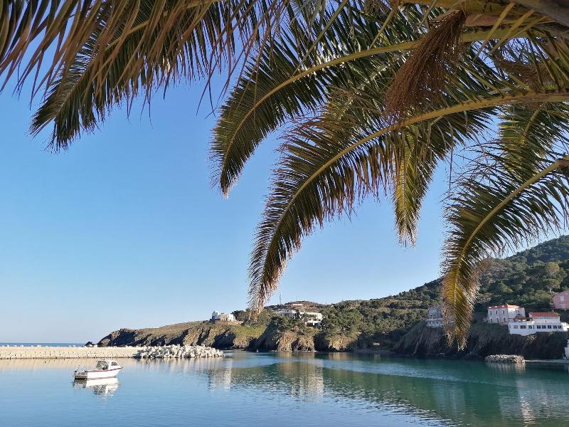 La Picholine image