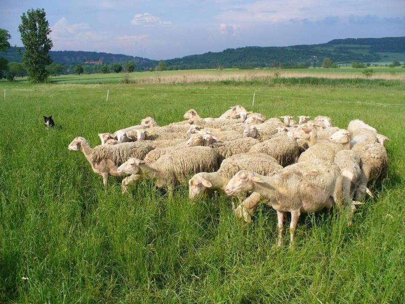 Biohotel Stiftsgut WilhelmsglÃ¼cksbrunn image