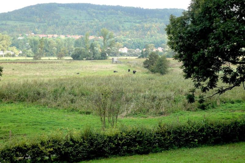 Biohotel Stiftsgut WilhelmsglÃ¼cksbrunn image