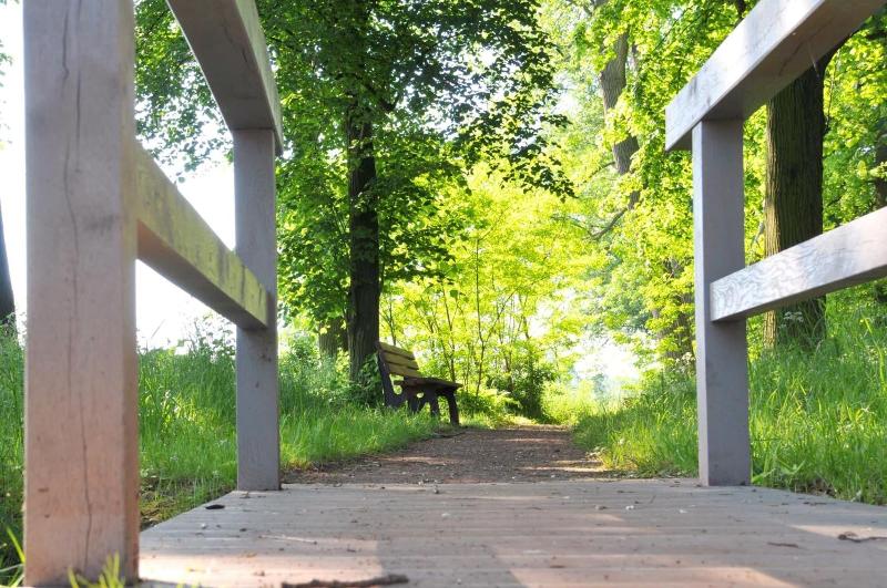 Biohotel Stiftsgut WilhelmsglÃ¼cksbrunn image