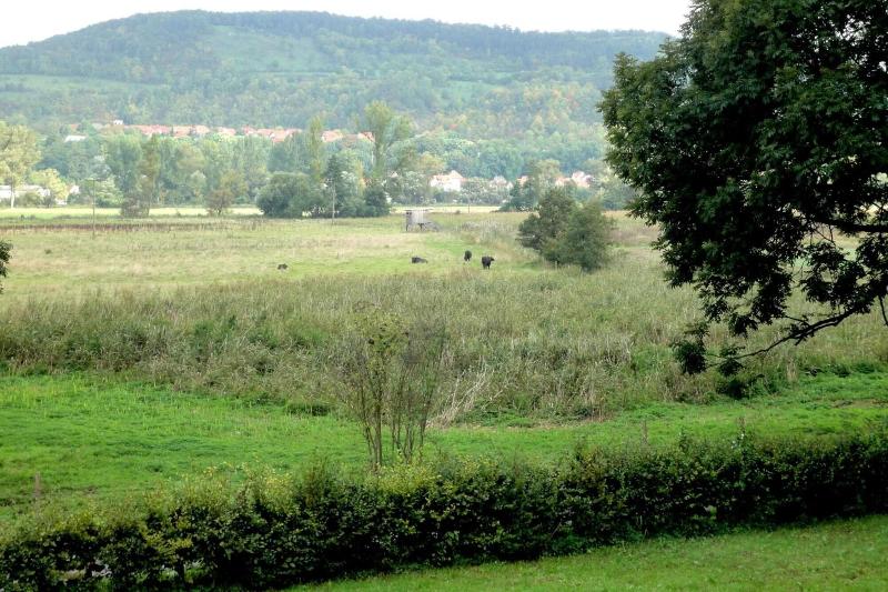 Biohotel Stiftsgut WilhelmsglÃ¼cksbrunn image