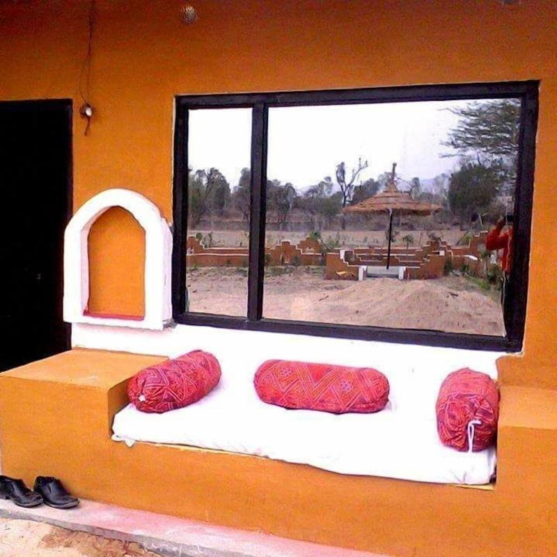 Desert Night — main photo