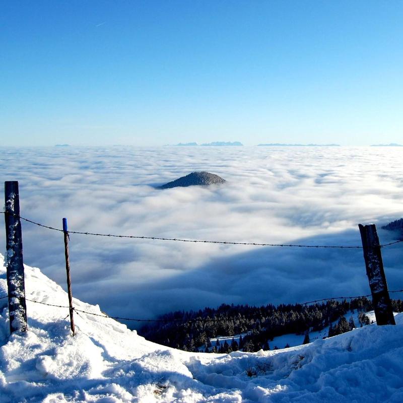 Alpengasthof Krische image