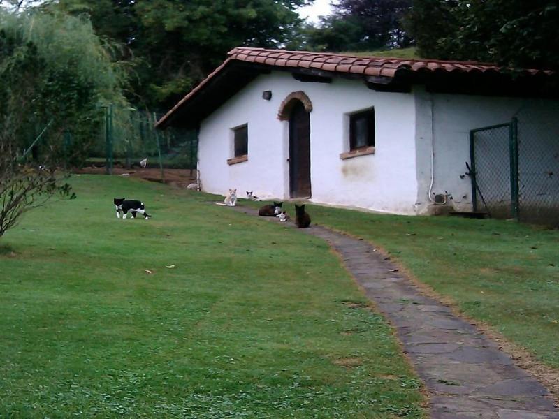 El Terrero image