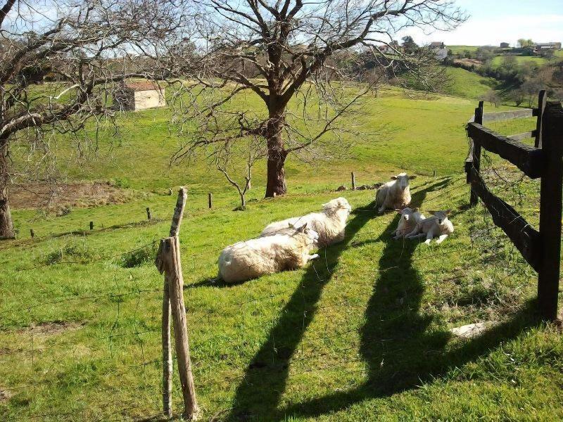 El Terrero image